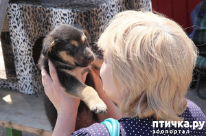 ����: ������ �����. ��������� �����...