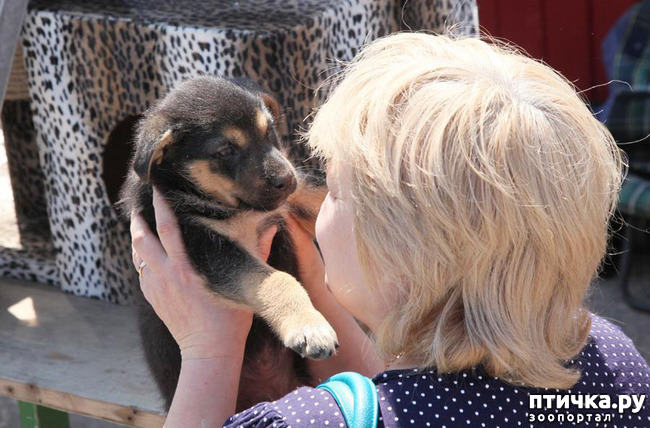 ���� 1: ������ �����. ��������� �����...