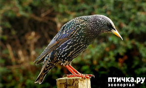 ����: ������� - �������� �����!