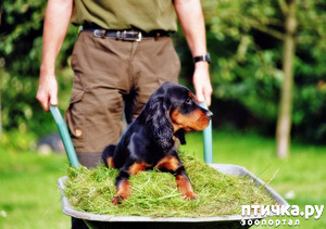 ����: �������� ������-������ (�������� ����).