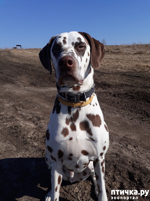 ����: ������ �����)))