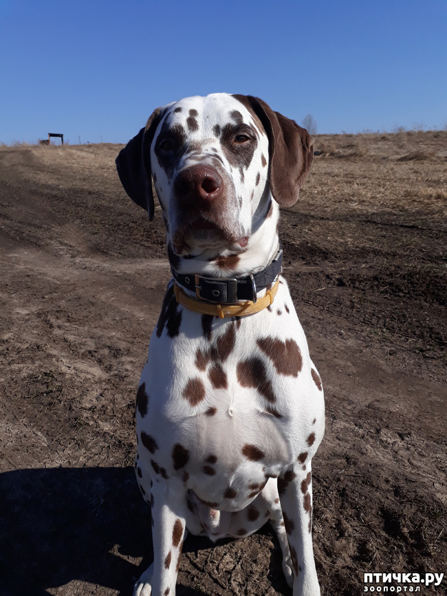 ���� 1: ������ �����)))