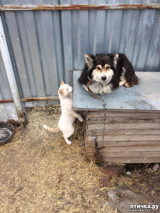 ���� 2: ������ �����)))