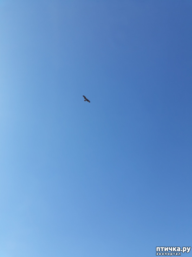 ���� 3: ������ �����)))