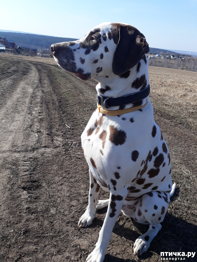 ���� 4: ������ �����)))