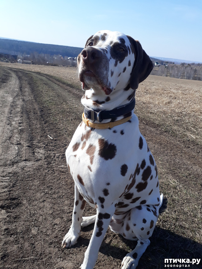 ���� 5: ������ �����)))