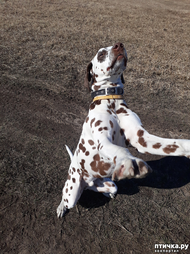 ���� 6: ������ �����)))