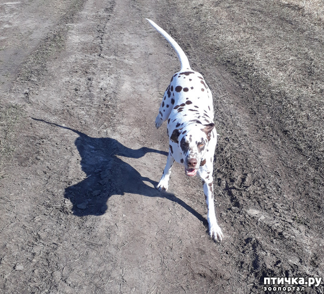 ���� 7: ������ �����)))