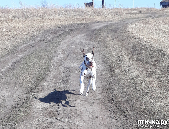 ���� 8: ������ �����)))