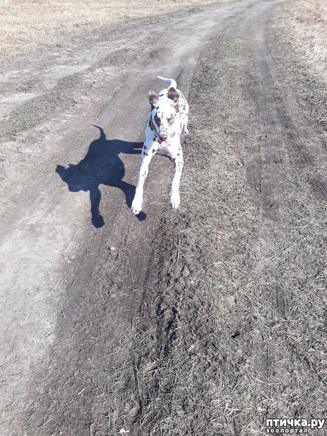 ���� 10: ������ �����)))