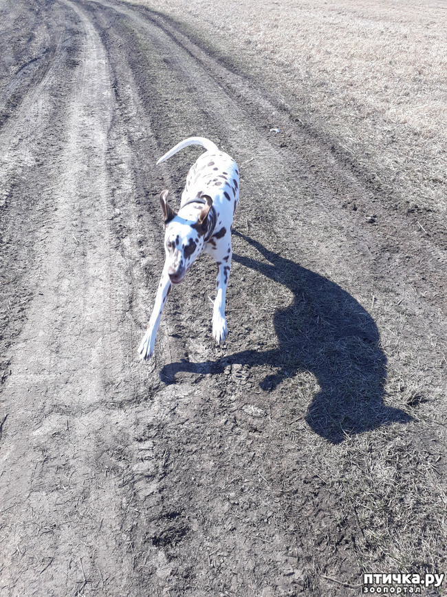 ���� 11: ������ �����)))