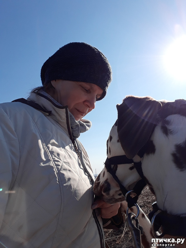 ���� 12: ������ �����)))