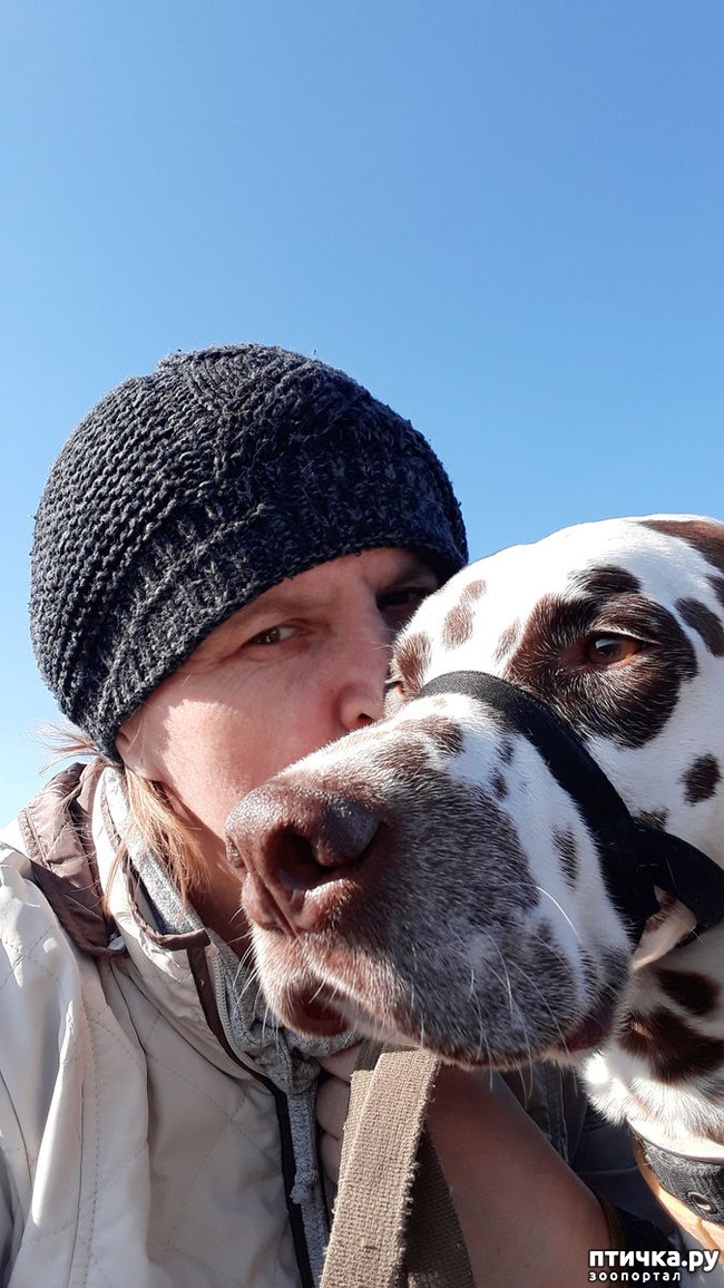 ���� 13: ������ �����)))