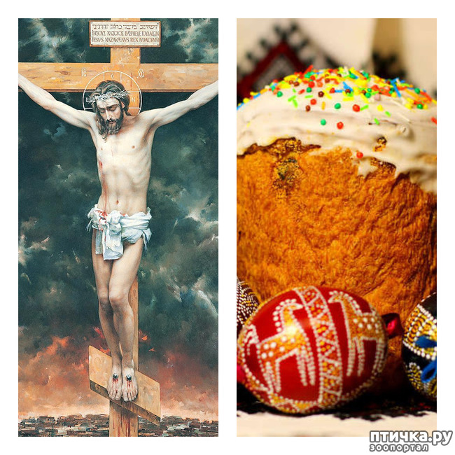 ���� 1: �����