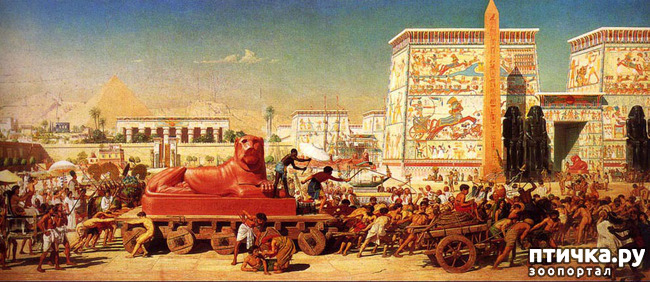 ���� 2: �����