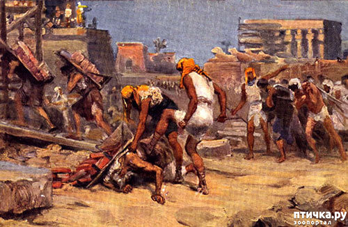 ���� 3: �����