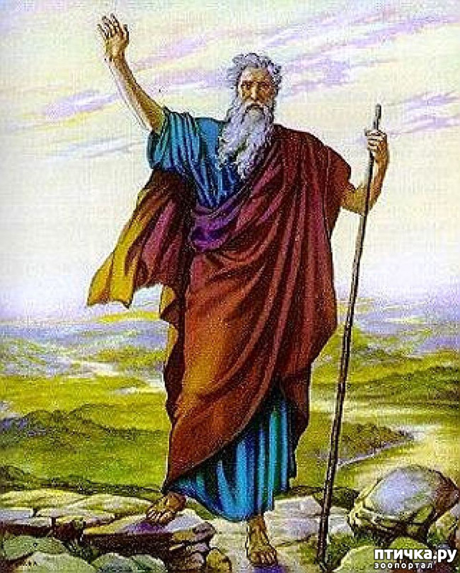 ���� 4: �����