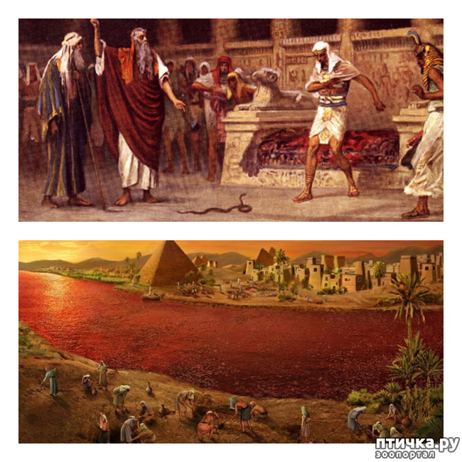 ���� 5: �����