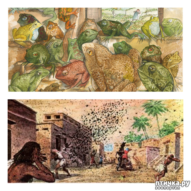 ���� 6: �����