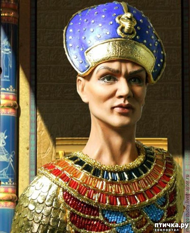 ���� 7: �����