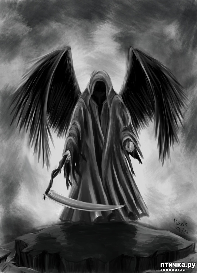 ���� 8: �����