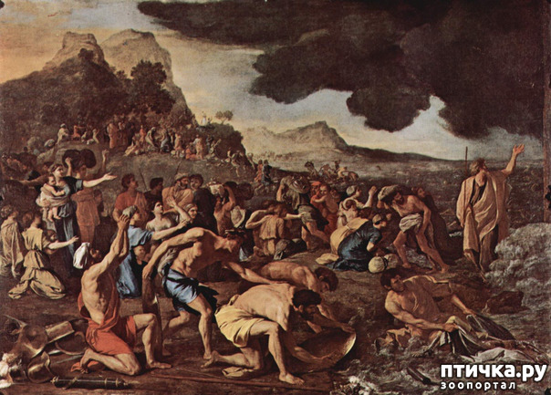 ���� 9: �����