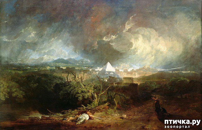 ���� 10: �����