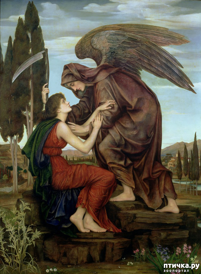 ���� 11: �����