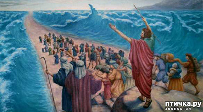 ���� 15: �����