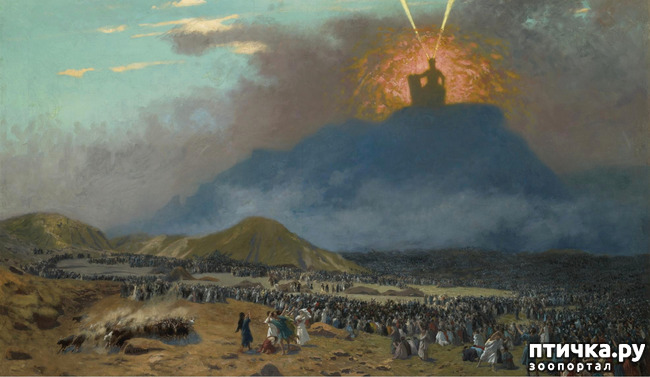 ���� 16: �����