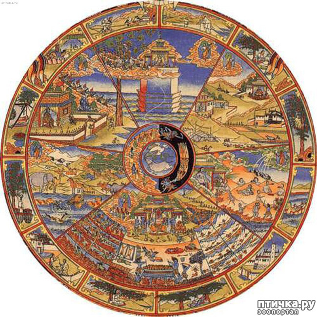 ���� 18: �����