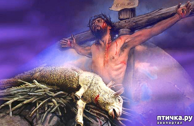 ���� 20: �����