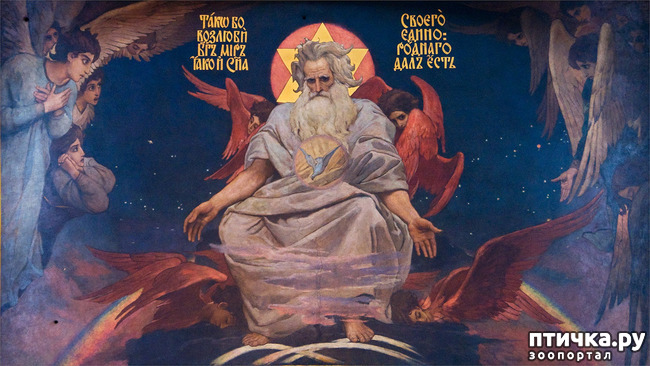 ���� 22: �����