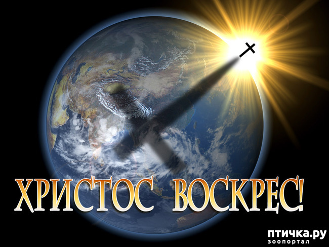 ���� 24: �����