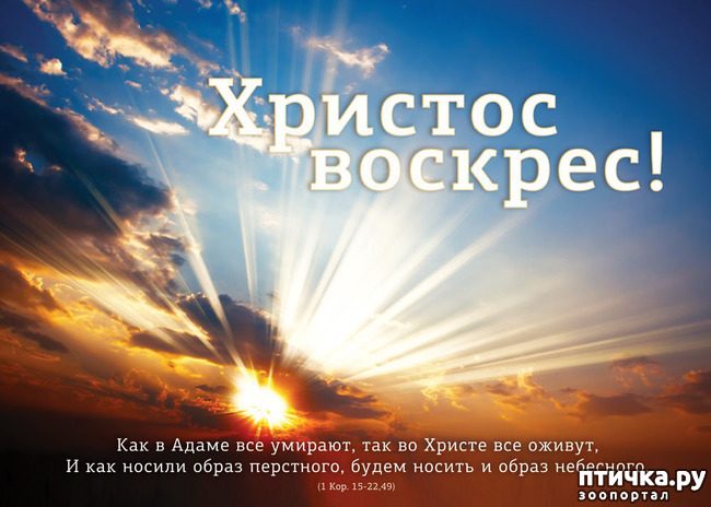 ���� 25: �����