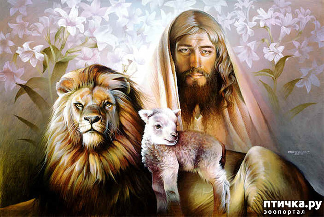 ���� 19: �����