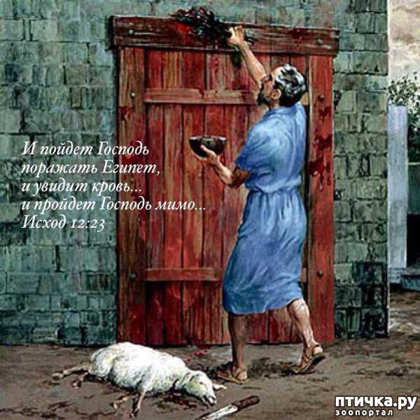 ���� 12: �����