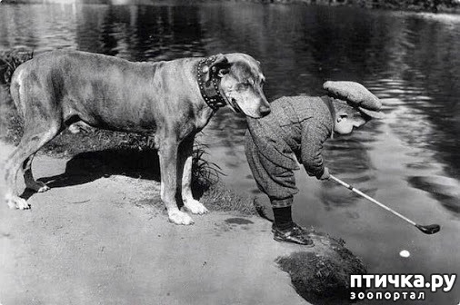 ���� 1: ��������� ����