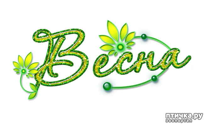 ���� 1: �����, ������...