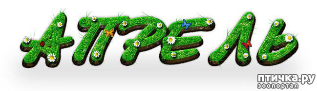 ���� 2: �����, ������...