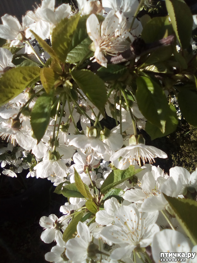 ���� 3: �����, ������...