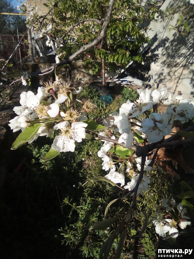 ���� 5: �����, ������...