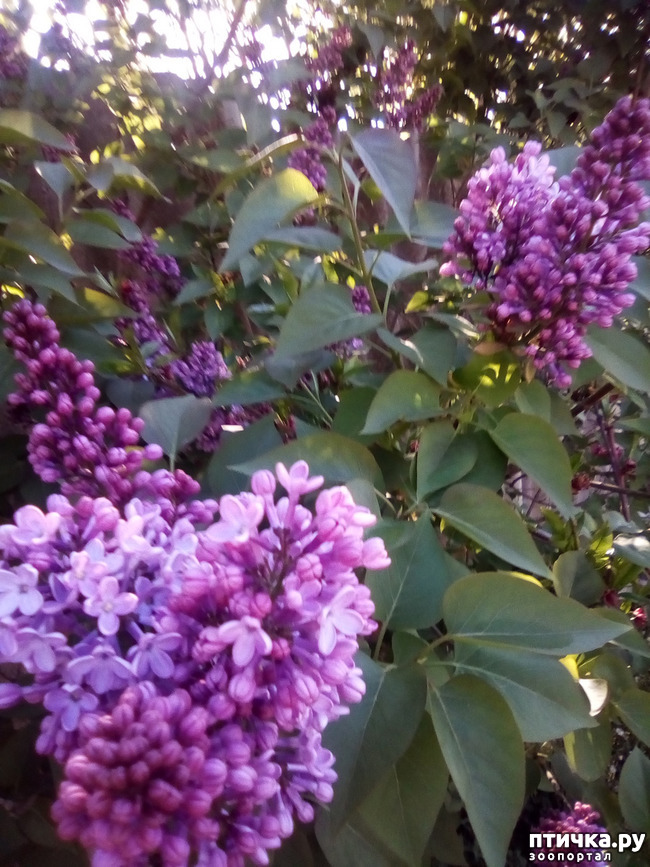 ���� 6: �����, ������...