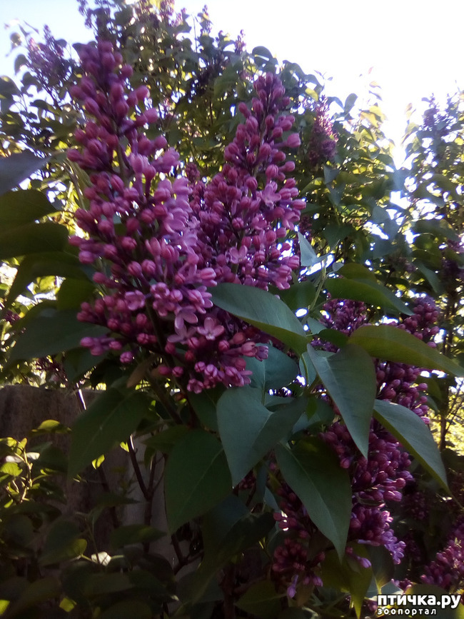 ���� 7: �����, ������...