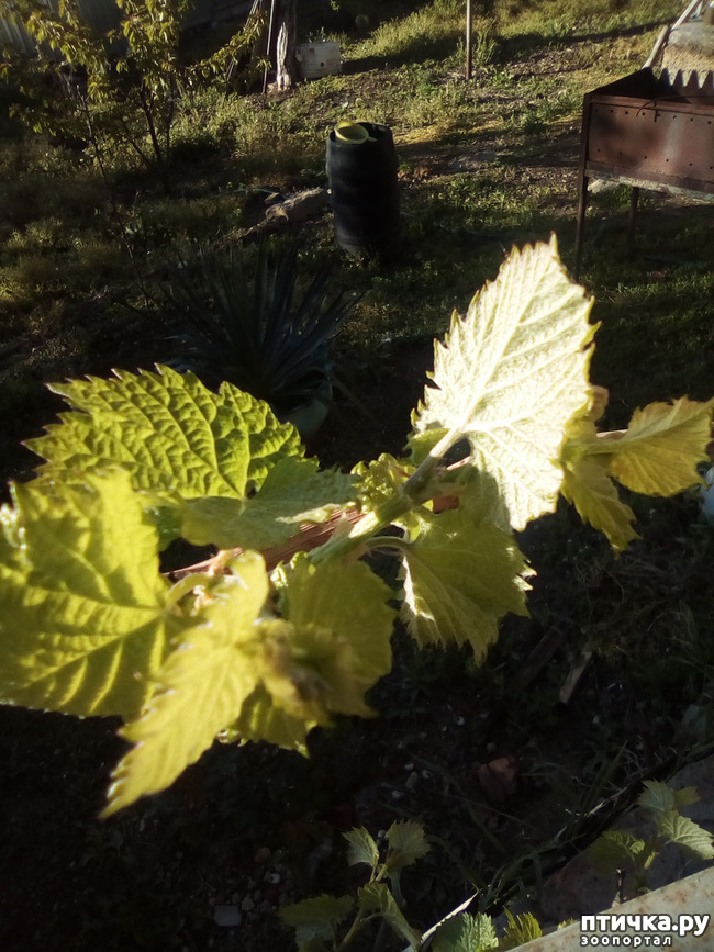 ���� 8: �����, ������...