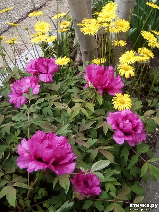 ���� 9: �����, ������...