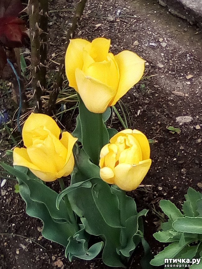 ���� 10: �����, ������...