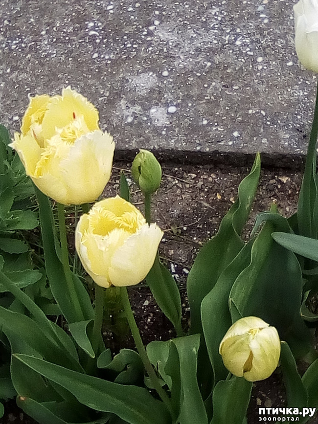 ���� 11: �����, ������...