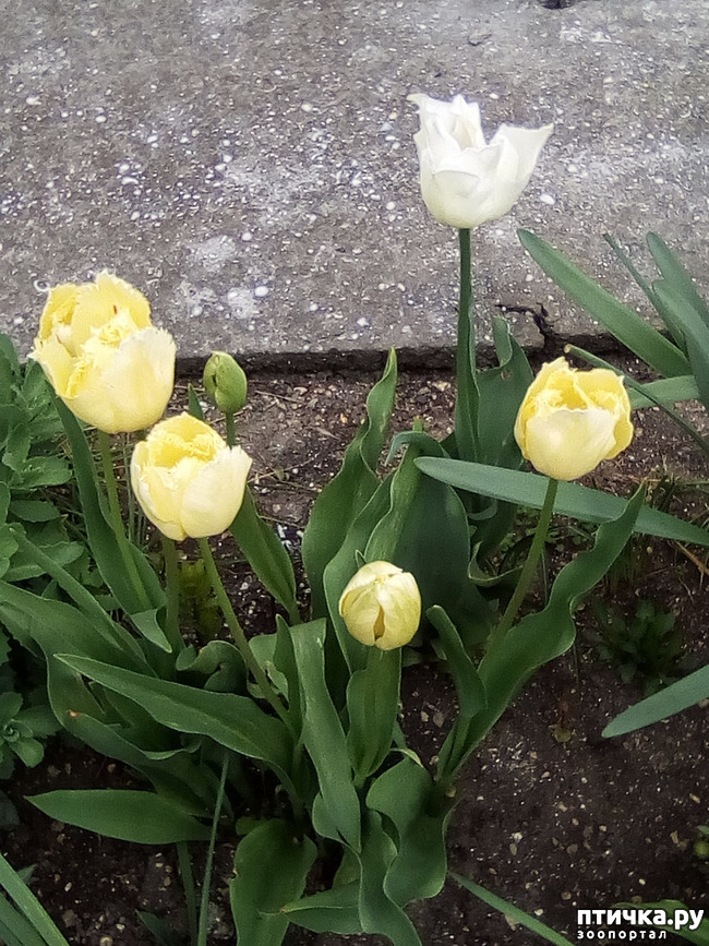 ���� 12: �����, ������...