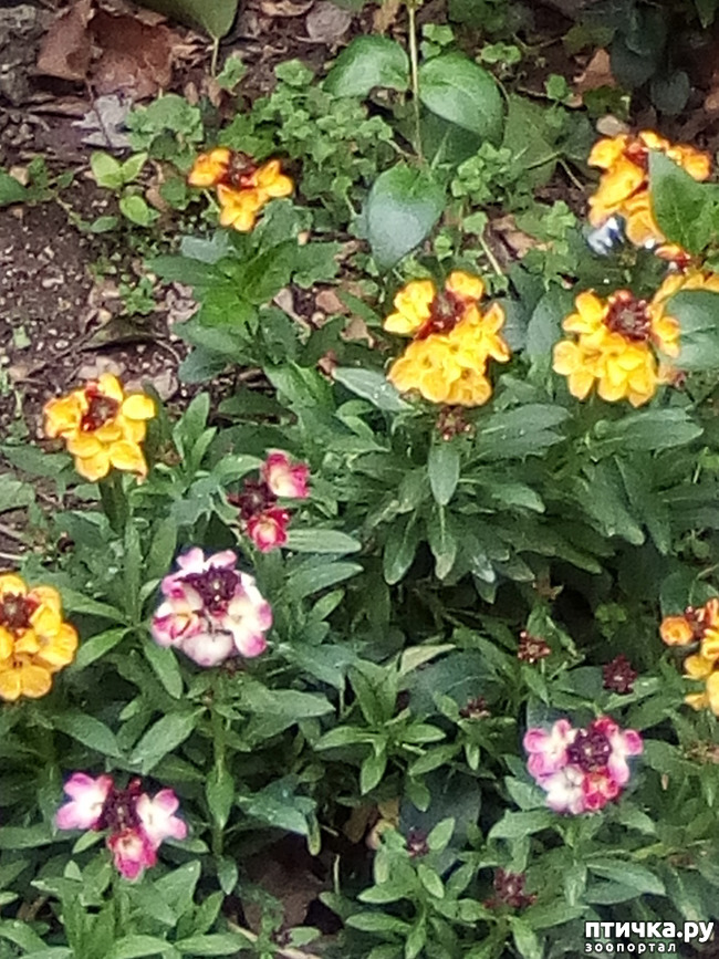 ���� 13: �����, ������...